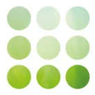 Dr. Loew Soziale Dienstleistungen GmbH & Co. KG.