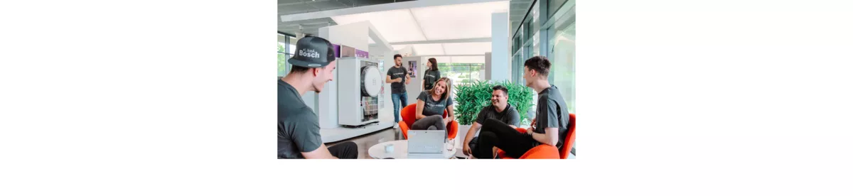 Bosch Home Comfort Group 